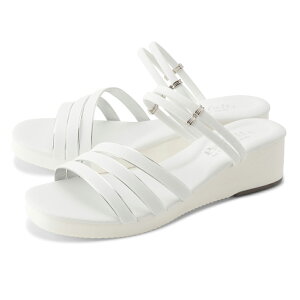 }C[3C T_ l i[XT_ ɂ uAWF É ItBXT_ i[XV[Y  { 