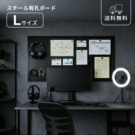 有孔ボード ブラック スチール Lサイズ マグネット可 ペグボード 壁面収納 デスク収納 小物収納 モノトーン シック 高級感 モダン 100cm×60cm