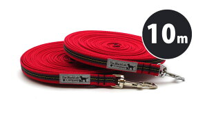 10MBLCo[O[hbhibV|[`tj