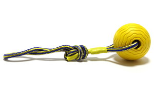 �f�����{�[���^L�T�C�Y�i���E��^�������j