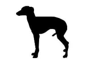 イタリアングレーハウンド 犬用ペットグッズの人気商品 通販 価格比較 価格 Com