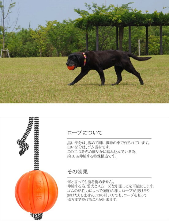 楽天市場 ライカコード7 全犬種対象 ザ ブラックラブカンパニー 楽天市場 ライカコード7 全犬種対象 ザ ブラックラブカンパニー
