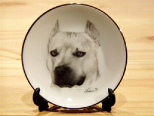 ���X�^�b�t�H�[�h�V���[�u�����A�����J���G�M