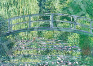 G|bN 2000s[X WO\[pY @ X[p[X[s[X (38x53cm) 54-231 ̂t wt _t EP