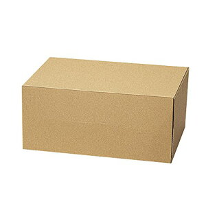 ヘイコー 箱 ダンボール ナチュラルボックス Z-18 22x32x15cm 10枚