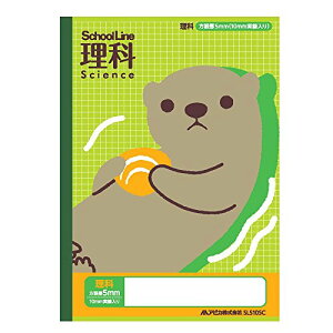 AsJ XN[LbY wK Ȗږ  5mmr 10mm 2Zbg