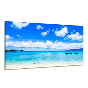 A[gpl G C |X^[ i Ǌ|  ؘgt̊i (40x80cm x1Pcs)