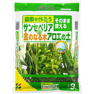 Ԃ TZxAÊȂ؁EAG̓y rǍċzAh 3L