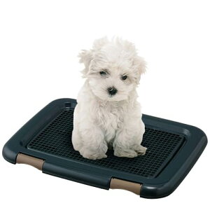 ACXI[}  gC bVJo[t t`ꂵɂg[jOybgg[ M[ CIz R lCr[