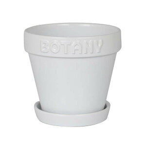 _g(Dulton) {^j[ |bg 5 zCg G{XSƃA[XJ[ōʂAؔ BOTANY 5 13.8cm a15