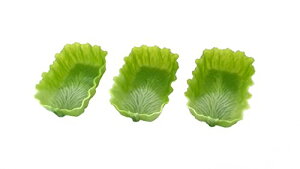 VJebN R ٓJbv p^ xWJbv L ^X 3 O[