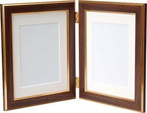 VANJOH �t�H�g�t���[�� Double Frame Basic 2L �c �u���E�� DF-B5BR