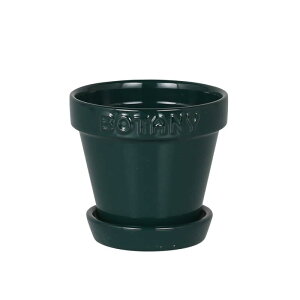 _g(Dulton) {^j[ |bg 3 O[ G{XSƃA[XJ[ōʂAؔ BOTANY 3 8.3cm a9cm
