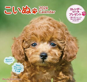 2024 J_[  iǊ|^߂j ([J_[])