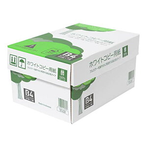 GCs[s[EWp(APPJ) APP F zCgRs[p B4 Fx93% 0.09mm 2500(500×5)