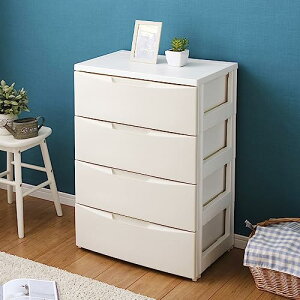 ACXI[} `FXg 4i ͂Ăg銮i { [ zCg / AC{[ vX`bN RC-554 55cm×s