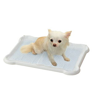 ACXI[}  gC V[c҂ƃg[ M[ zCg P-SPT