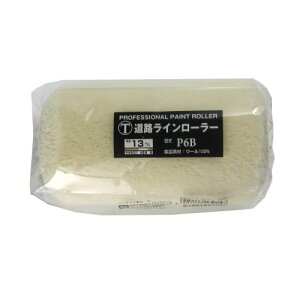 ˍ HCp[[֓ P6B 6C`