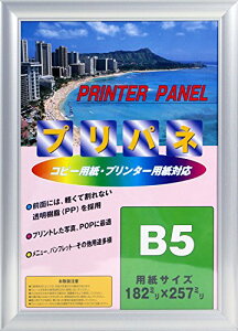 C^ z vplS JISTCY B5 A~t[ Vo[ PA-212-SI-B5