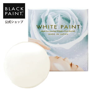  ubNyCg zCgyCg 120g 1  VN ^pE_[ wisgp    ێ  畆݋ۂ  I[KjbNF؃IC I[KjbN 