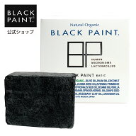 公式【肌に直接塗る石鹸】BASICブラックペイント 120g 1個 顔もカラダも使える！石鹸 ロイテリ菌 備長炭 …