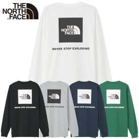 ノースフェイス ロンT THE NORTH FACE 長袖Tシャツ メンズ ノースフェイスロンT ノースフェイスTシャツ おしゃれ かっこいい おすすめ 人気 ブランド 正規品 ロングスリーブバックスクエアロゴティー 大きい 小さい サイズ オールシーズン NT32442