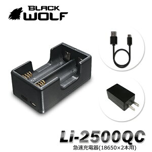 yAt^[N[|11()10:00`12()9:59z}[d 18650obe[2{p 5V2A }CNUSBP[u A_v^[ 2AΉ `ECIdr C^Cv vŃ`[W\ Su Li-2500QC
