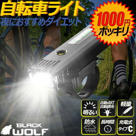 [マラソン P10倍！][1000円ポッキリ] 【タイプC】ライト 自転車 明るい led usb 充電式 自転車LED 子供 自動点灯 防水 雨 コンパクト 盗難防止 後付け 簡単 盗難防止 250ルーメン最強 おすすめ かっこいい 通勤 マウンテンバイク クロスバイク震災 災害 水