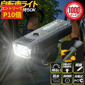 【エントリーでP10倍♪〜3/11(水)01:59】[1000円ポッキリ 送料無料] 自転車 ライト 明るい led usb 充電式 タイプc 子供 自動点灯 自動調光 防水 雨 コンパクト 盗難防止 後付け 取付 簡単 250ルーメン最強 おすすめ かっこいい 通勤 BIKE99
