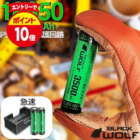 【エントリーでP10倍♪9/19(土)20時開始】充電器セット 2本用 18650 電池 3500 mAh 充電器 急速 タイプc リチウムイオン電池 大容量 サムスン セル SUMSUNG SDI 18650バッテリー PSE 保護回路付き 5V2A usb充電 ケース 付き Li-2500QC