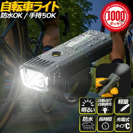 【エントリーでポイント10倍♪〜2/10(火)01:59迄】[1000円ポッキリ 送料無料] 自転車 ライト 明るい led usb 充電式 タイプc 子供 自動点灯 自動調光 防水 雨 コンパクト 盗難防止 後付け 取付 簡単 250ルーメン最強 おすすめ かっこいい 通勤 BIKE99