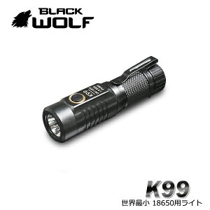 Usb バッテリー 小型 懐中電灯 フラッシュライトの人気商品 通販 価格比較 価格 Com
