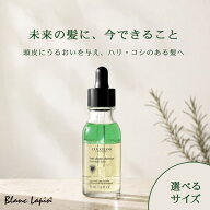 ロクシタン LOCCITANE アドバンストスカルプケア 50ml〜 スカルプケア 選べるサイズ
