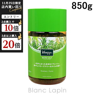 NiCv KNEIPP oX\g [Y}[&^C̍ 850g [850926]