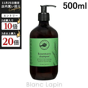 p[tFNg|[V PERFECT POTION [Y}[Vv[ 500ml [033199/002010]