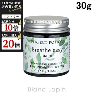 p[tFNg|[V PERFECT POTION u[YC[W[o[ 30g [021776]