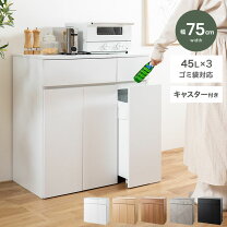 楽天市場】ゴミ箱 45l（テイスト（インテリア）カントリー風）（収納 