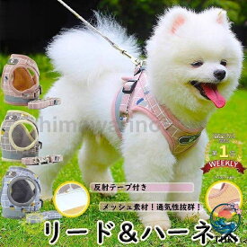 【全品2点で5%OFF】メッシュ素材おしゃれペットハーネスリードセット 小型犬丈夫脱げない苦しくない散歩胴輪犬用リードペット用品
