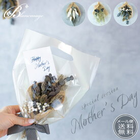 ドライ フラワー ミニ スワッグ 母の日 花束 メール便 送料無料 ユーカリ かすみ草 お祝い お誕生日 出産祝い 結婚祝い 新築祝い ギフト インテリア ナチュラル