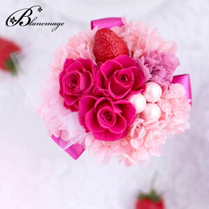 u[P  v[g vU[uht[ Xgx[sN̉ԑ j  o  a  v[g Mtg j LO