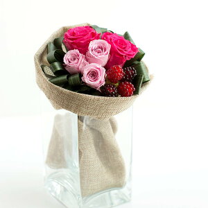 yz a y_u[Pzt{[ỶԑCeA ԑ G / AeB[N / Mtg v[gybL[V[Ήz