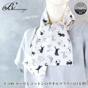 ^I}t[ lR zCg K[[ Rbg { nhCh  tFCX^I mg[ k X|[c}t[ UV΍ Mtgɂ