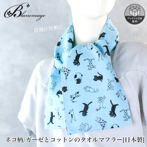 ^I}t[ lR u[ K[[ Rbg { nhCh  tFCX^I mg[ k X|[c}t[ UV΍ Mtgɂ