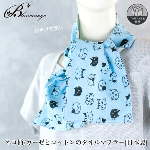 ^I}t[ lR u[ K[[ Rbg { nhCh  tFCX^I mg[ k X|[c}t[ UV΍ Mtgɂ