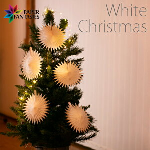 17cmt@iStarj5_Zbg PAPER FANTASIES p[eB[ fR[V CeA   EGfBO  Jt  NX}X a v[g