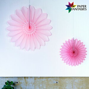 njJy[p[I[ig t[t@2FTCYႢZbg iCgsN[j PAPER FANTASIES Xܑ p[eB[ fR[V CeA   EGfBO  N