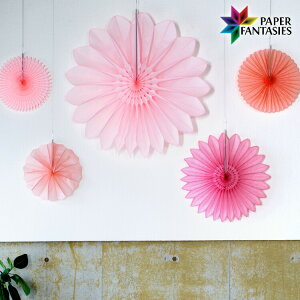 njJy[p[ t[t@sNn5_Zbg PAPER FANTASIES Xܑ p[eB[ fR[V CeA   EGfBO  NX}X a v[g