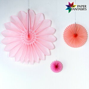 njJy[p[ t[t@sNn3_Zbg Xܑ p[eB[ fR[V CeA   EGfBO  NX}X a v[g