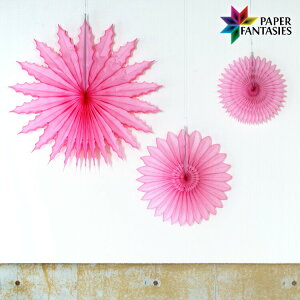 njJy[p[ y[p[t@ [ 3_Zbg Xܑ p[eB[ fR[V CeA   EGfBO  NX}X a v[g