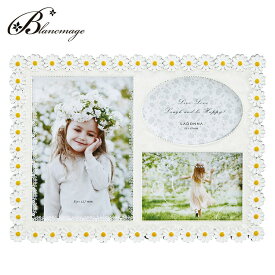 ブライダルフォトフレーム カモミール フラワー 3窓 無料ラッピング 無料メッセージカード 結婚祝い 出産祝い ウェルカムボード おむつケーキやお花と同梱可能 ブルー ピンク ラドンナ BJ11-30